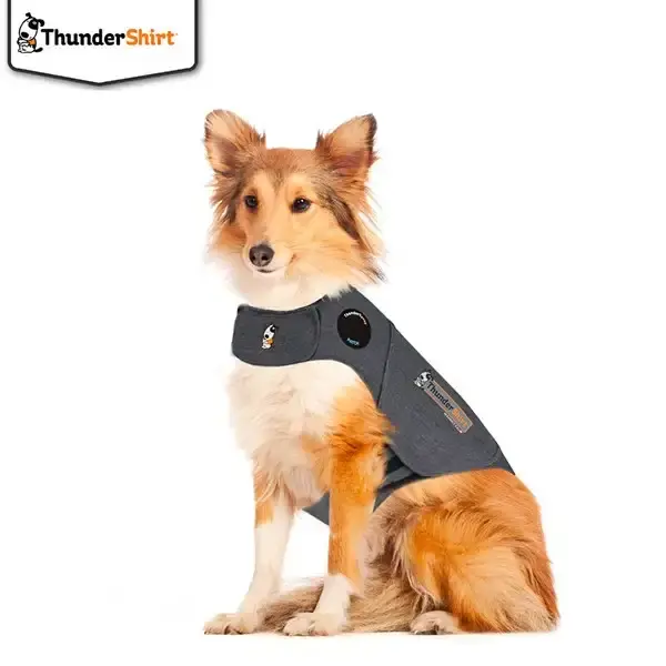 Reapris - Thundershirt XL