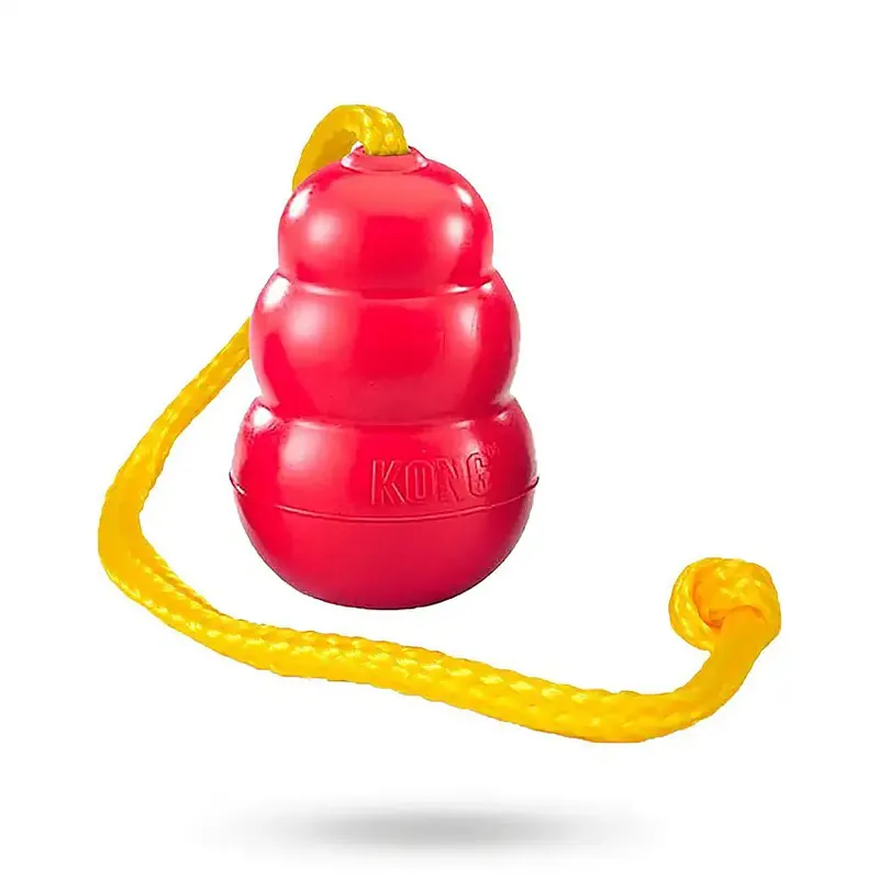 Beställ online - Kong Classic med Rep