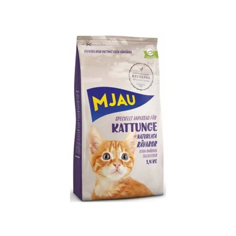 Mjau Kattunge - Bara idag