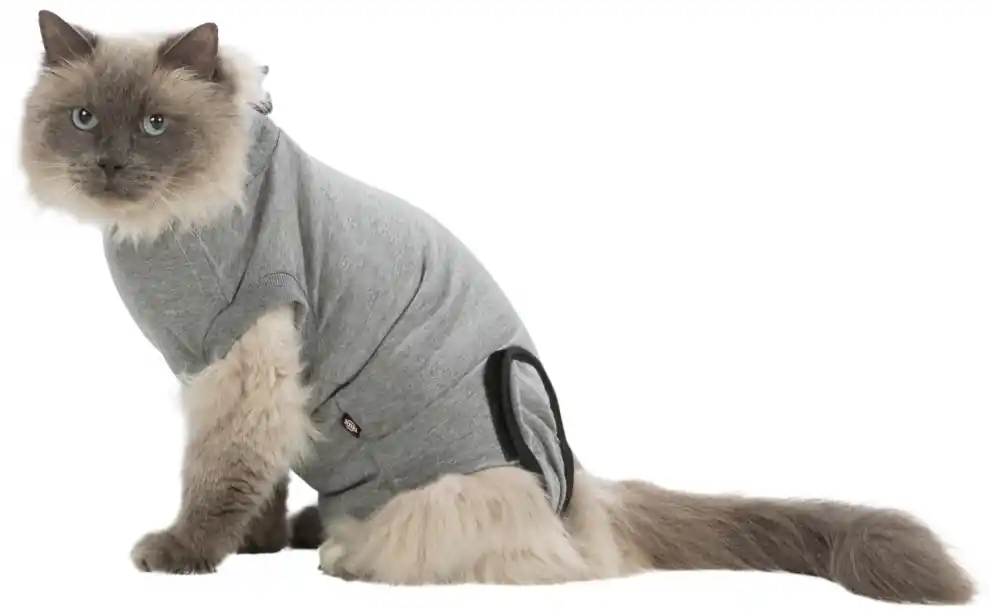 Spara mer | Body till katt, skyddande