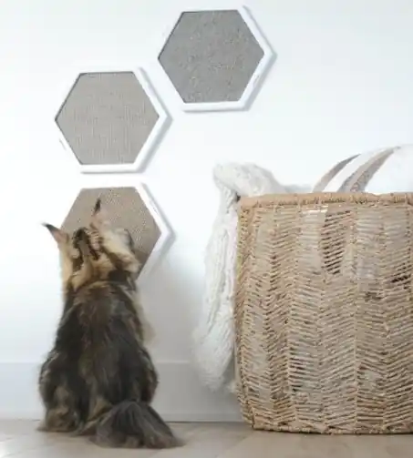 Fabrikspris - BeOneBreed Prism scratcher