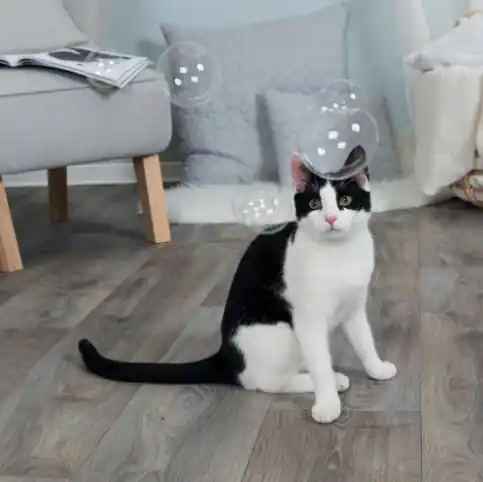Skynda dig - Bubblor med kattmynta