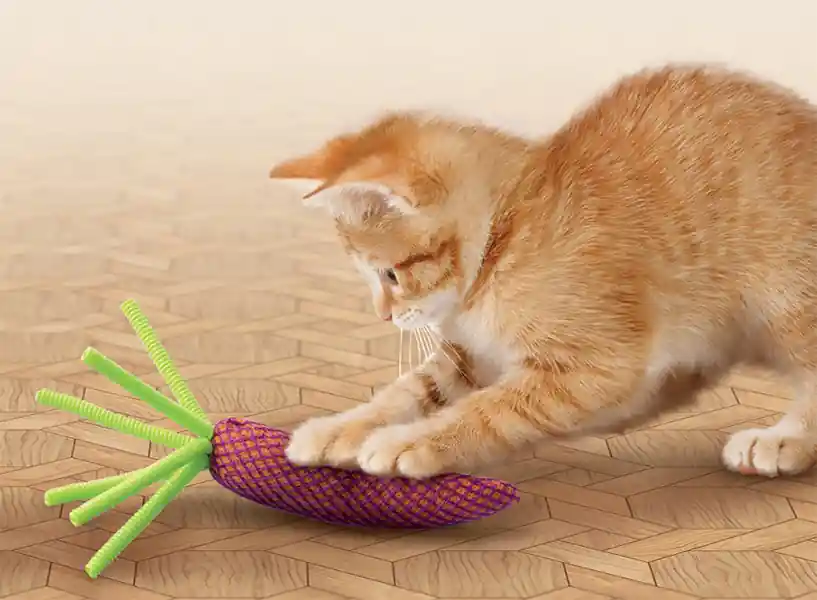 Kong Cat Nibble Carrot - Köp nu