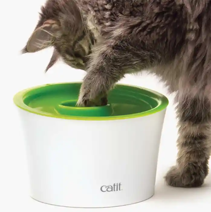 Kampanj | Cat It Multi Feeder
