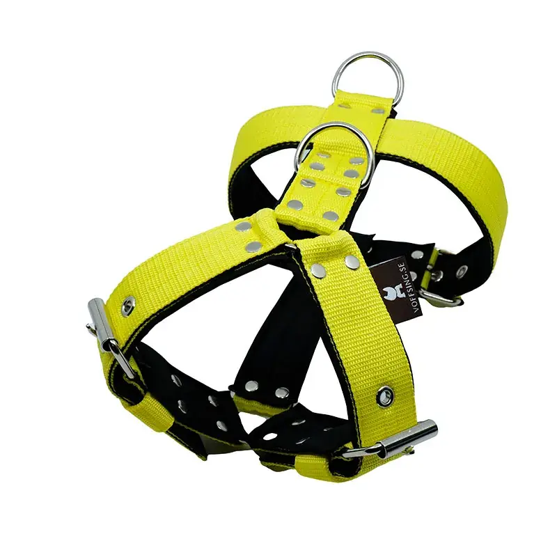 Voffsing Collection Sele med Softshell – Citrongult - Hög kvalitet