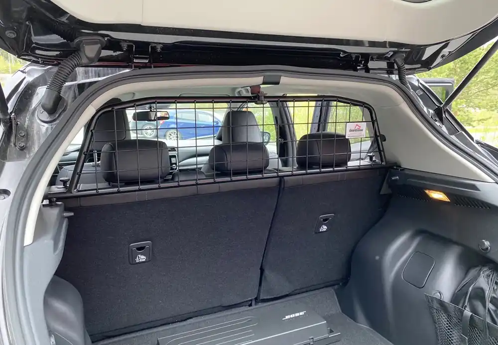 Bara idag - Guardsman lastgaller Nissan Leaf 2018->