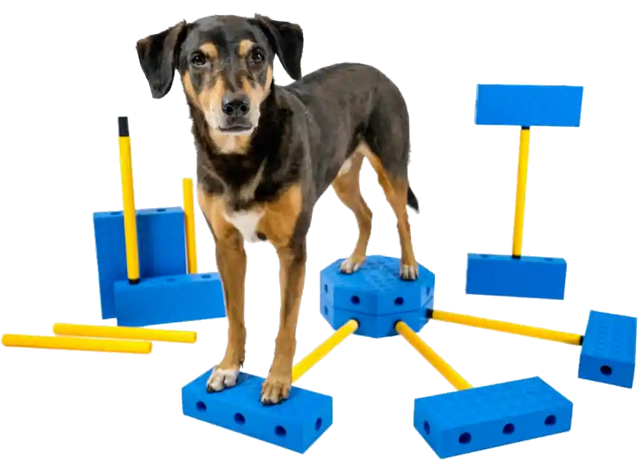 FitPaws FitKinect Xtra -Modulärt träningssystem - Dagens deal