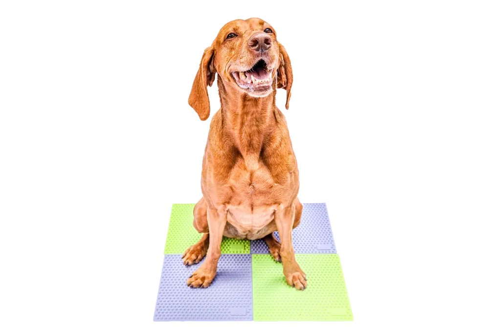 FitPaws TRAX Targets (set om 2) Periwinkle - Missa inte