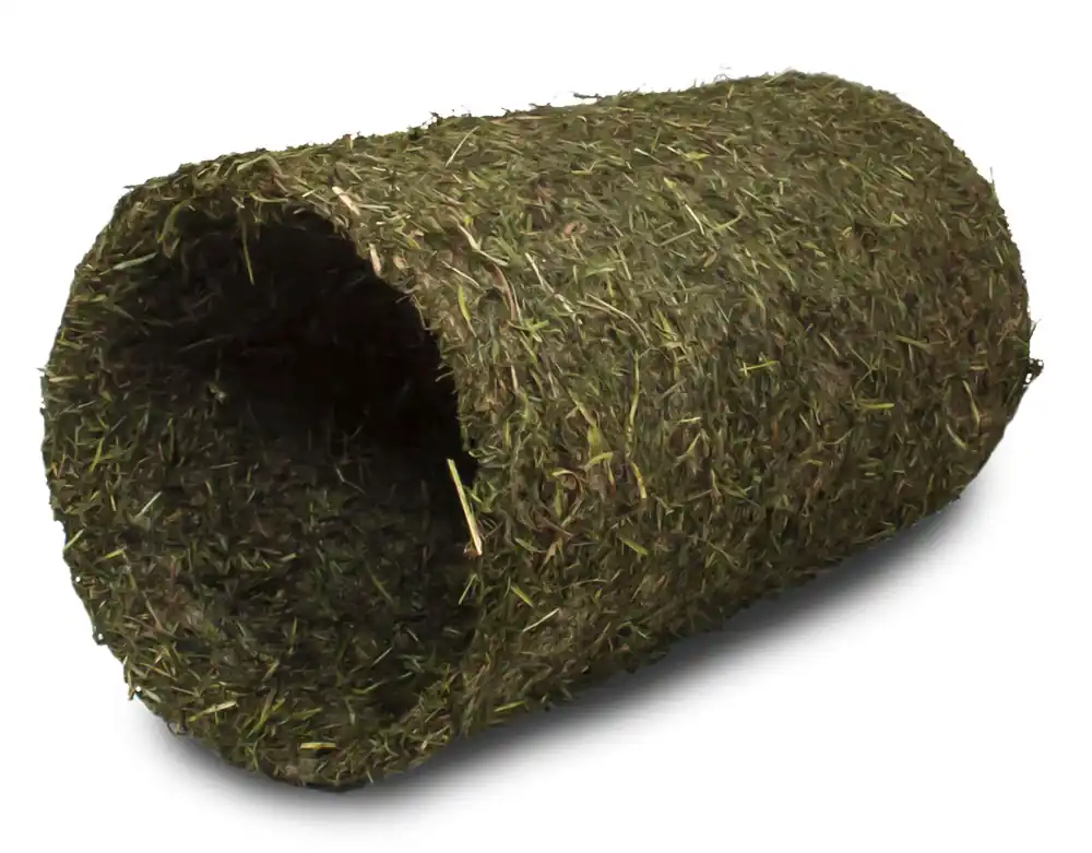 Bra pris just nu - Jr. Farm Högtunnel