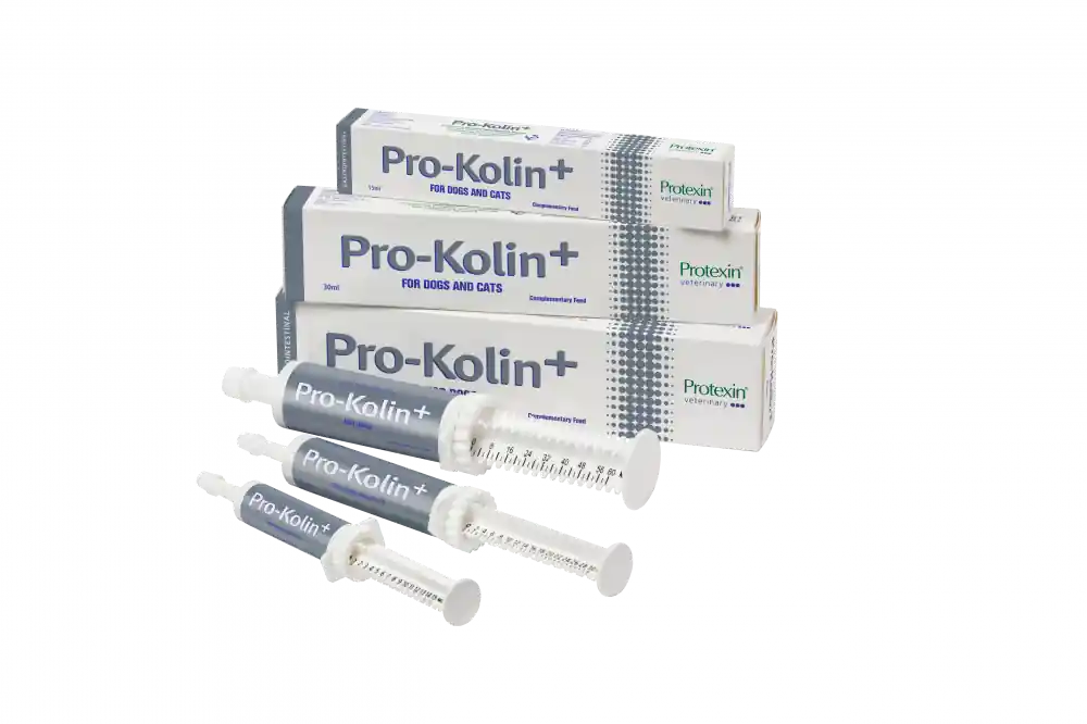 Kompletteringsfoder Protexin Pro-Kolin+ 30 ml | Favorit hos kunderna