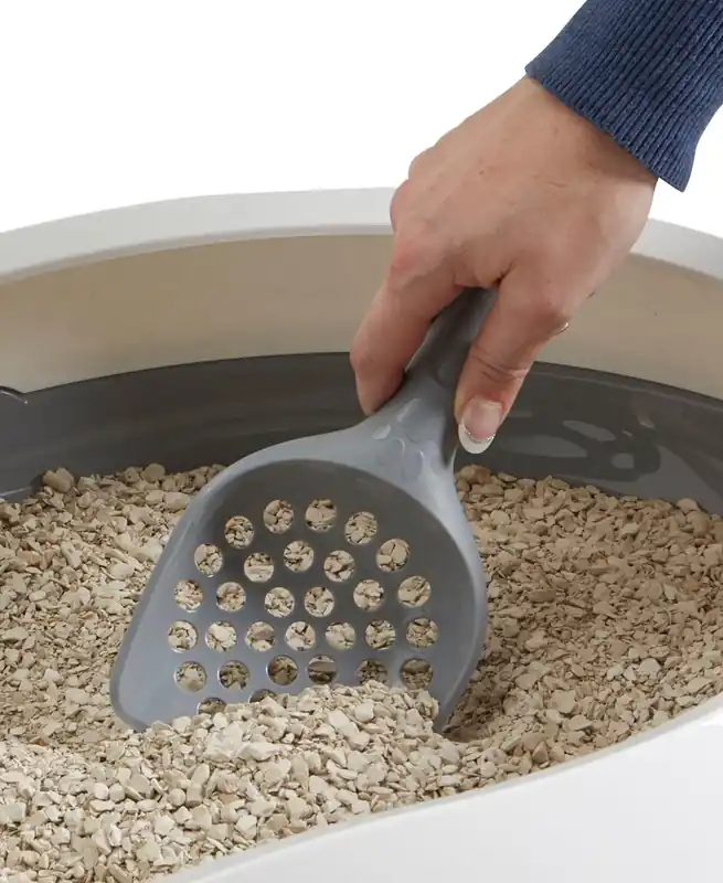 Kattspade Scoop Macro Osorterade Färger - Premium