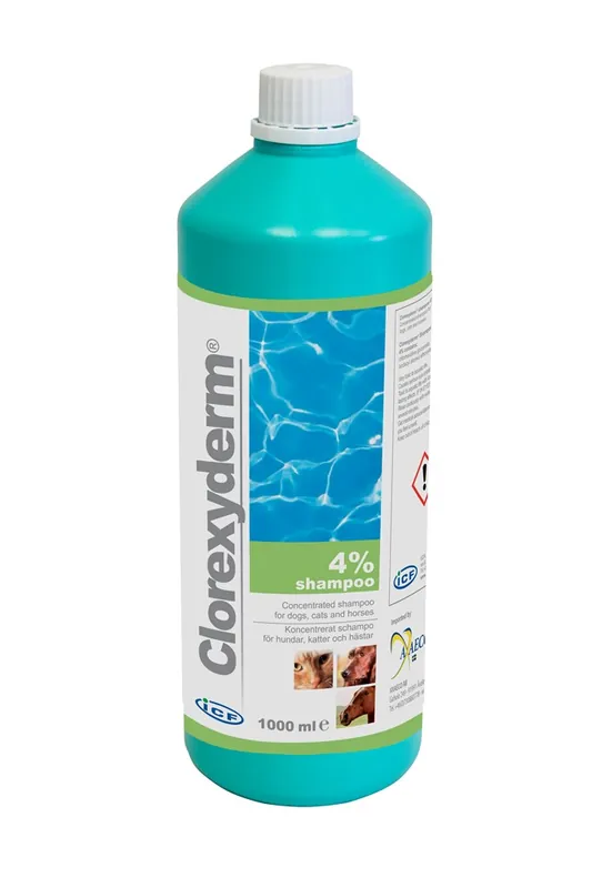 Klorhexidinschampo ICF Clorexyderm Shampoo 4% 1000 ml - Bästsäljare