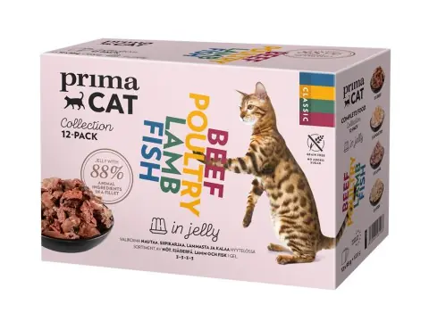 Finns i lager | Våtfoder Multipack i Gelé för Katt - 12 x 85 g