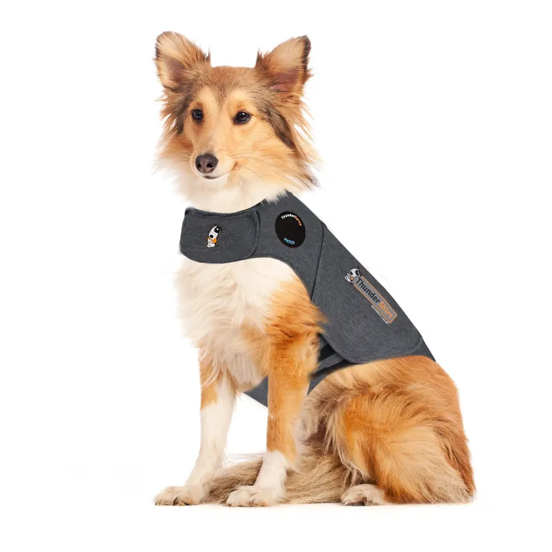 Thundershirt - XL | Professionell kvalitet