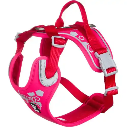 Sänkt pris - Weekend Warrior Hundsele - 100 - 120 cm / Ruby
