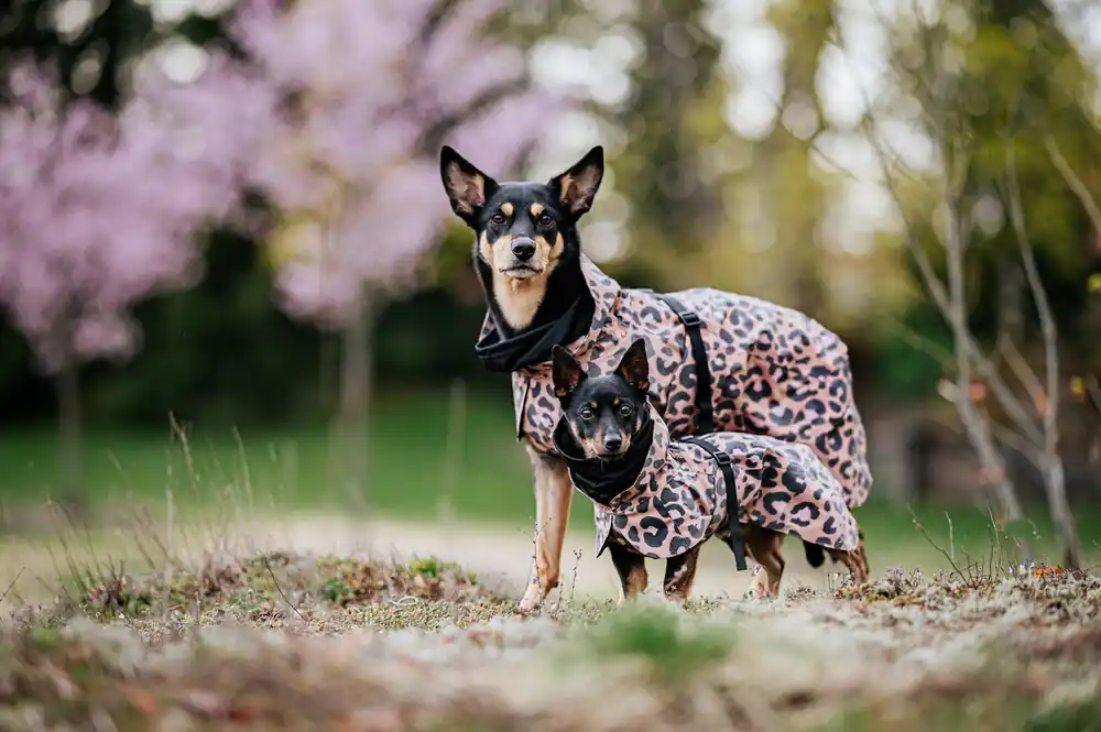 Reflekterande Regnjacka Hund, Leo - 40 - Väl omtyckt