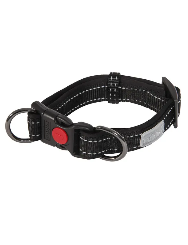 Solid Collar Hundhalsband - Turkos / L | Dagens erbjudande