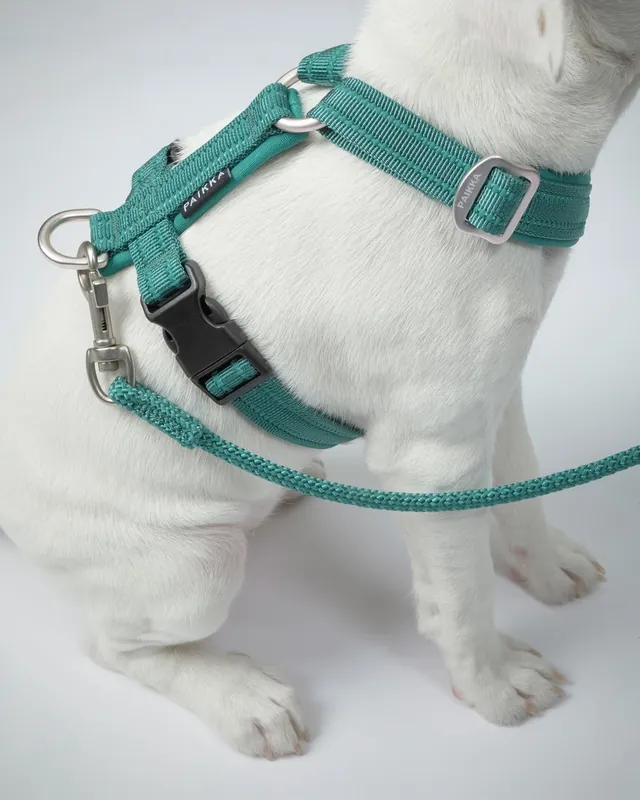 Extra bra pris | Easy Harness Reflekterande Hundsele Emerald - L
