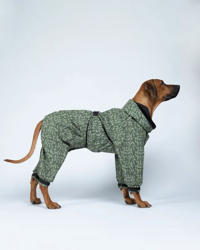 Bra pris - Regnoverall Hund, Grön - 40