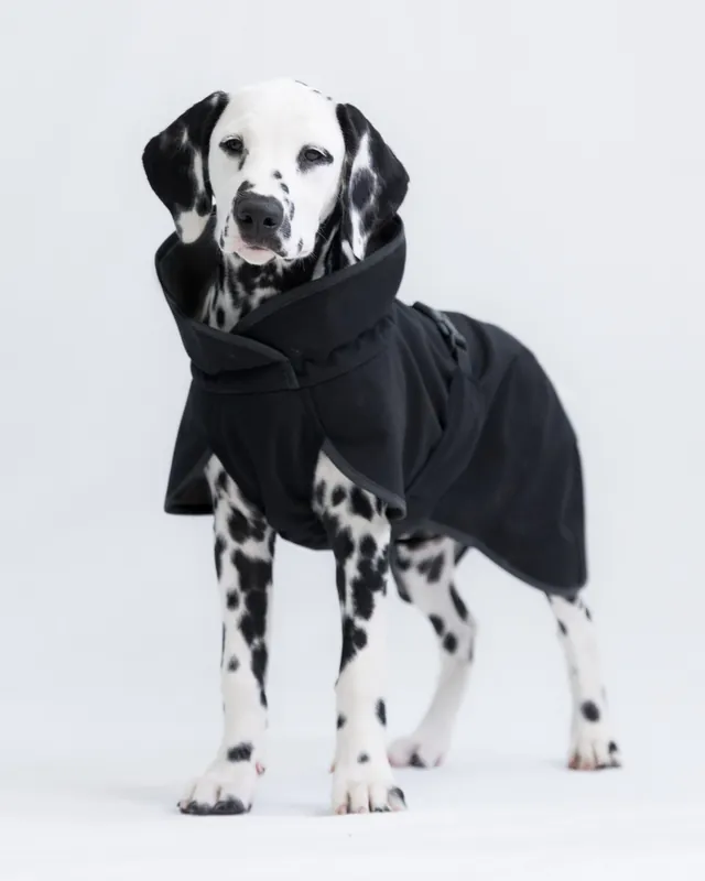Recovery Softshell Hundjacka Svart - 45 - Köp online