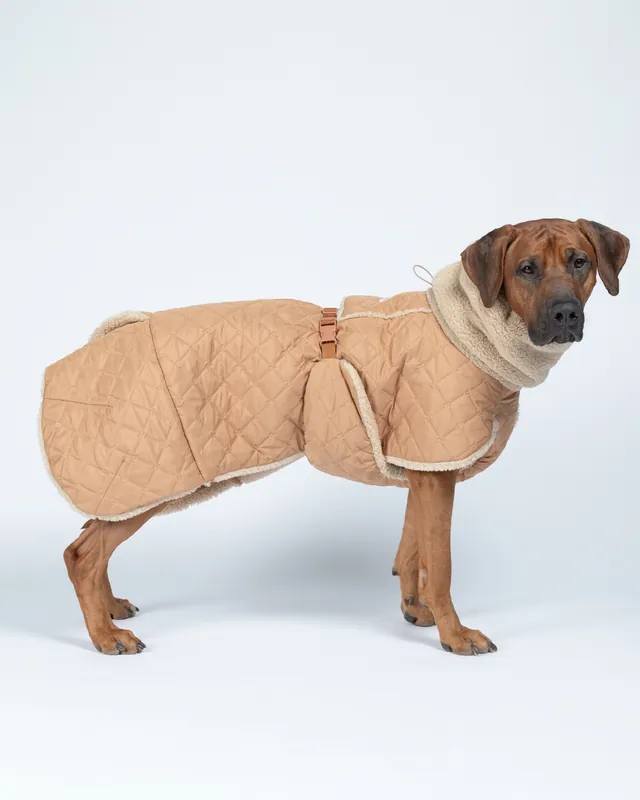 Favorit | Quilted Sherpa Hundjacka - 45