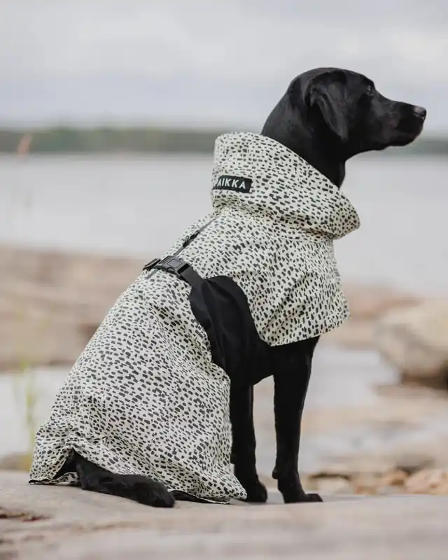 Regnjacka 2.0 Hund - 50 | Bra pris