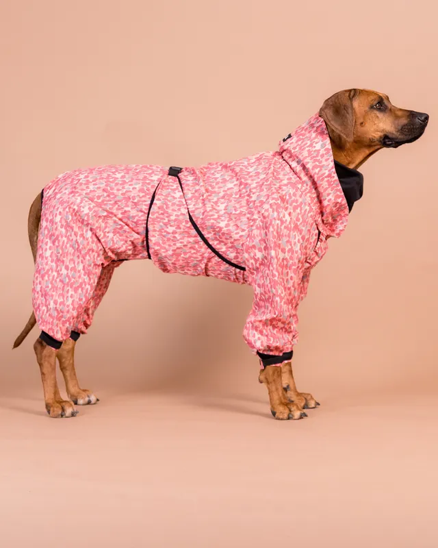 Premiumkvalitet - Regnoverall Hund, Röd - 40