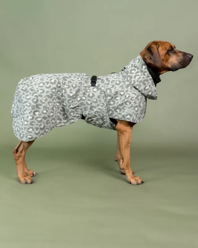 Specialpris - Reflekterande Regnjacka till hund Grön - 25