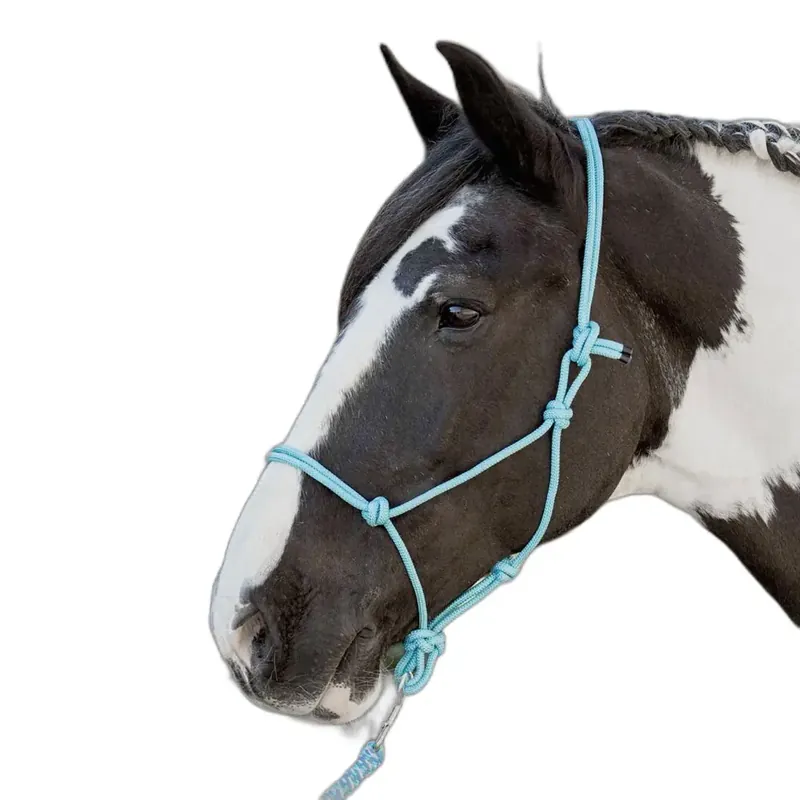 Efterfrågad | Repgrimma för häst Harry’s Horse