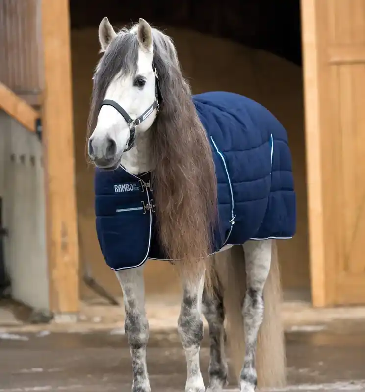 Rambo Stable 200g – Marin - Handla online
