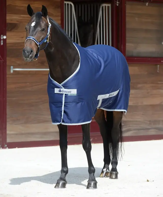 Freedom Twill Sheet – Marin - Favorit hos kunderna