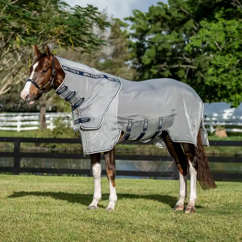 Rambo Protector FieldSafe Plus – Silver/Marin | Missa inte