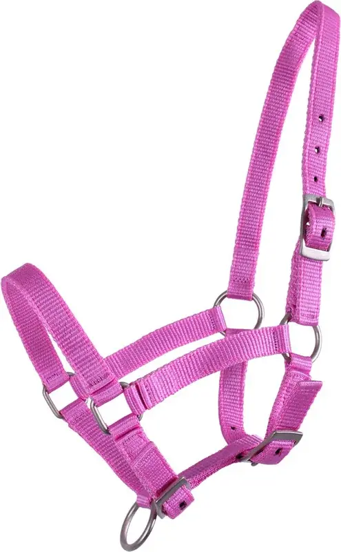 Expressleverans - Fölgrimma Rosa Falabella-föl