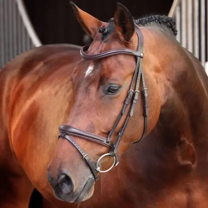 Träns LUSSO Elite Brun | Kundfavorit