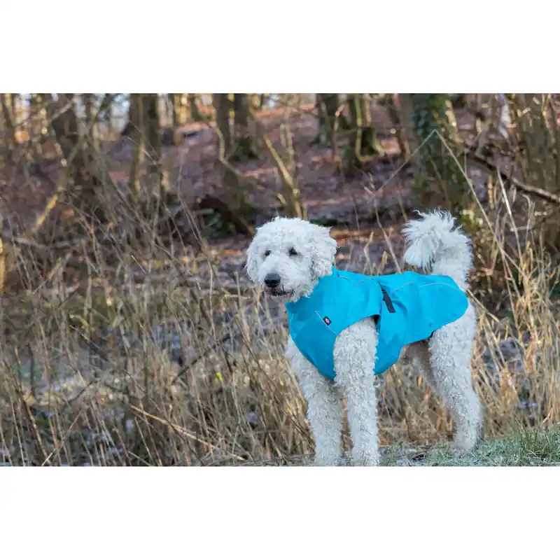 Nedsatt pris | Mackintosh för hundar Trixie Vimy