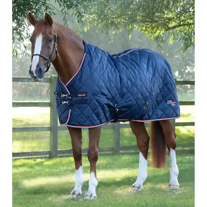 Skynda dig - Matta för häststall Premier Equine 100g