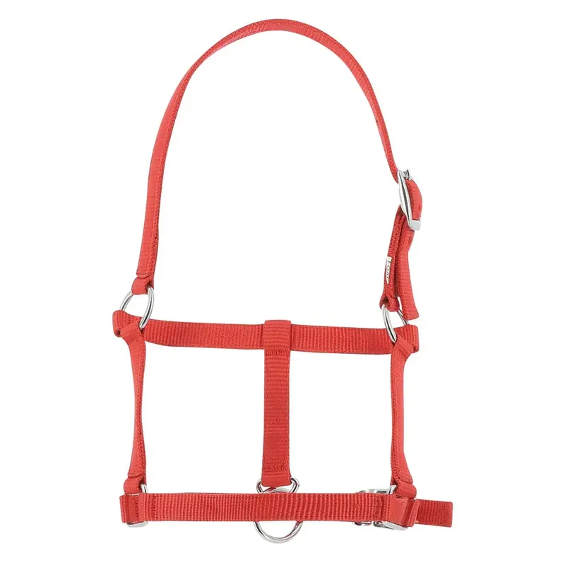 Halter för föl Riding World | Enkel retur