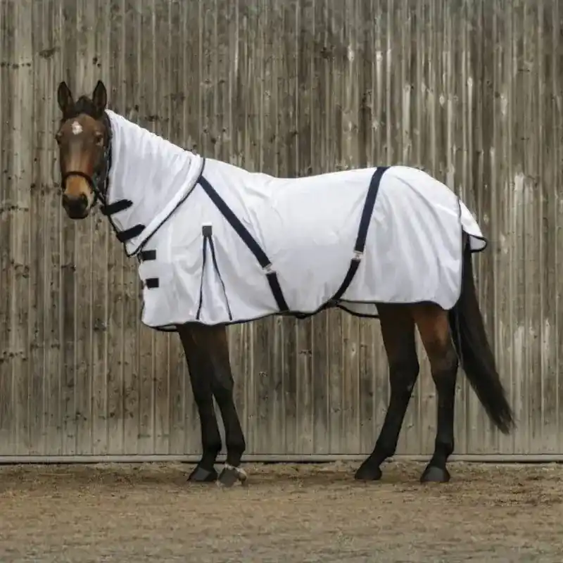 Hästskjorta Equithème Combo | Kundernas favorit