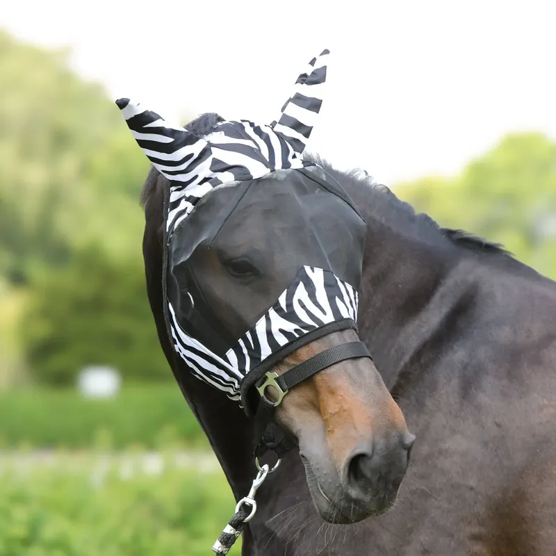 Endast idag - Zebradekande för häst York