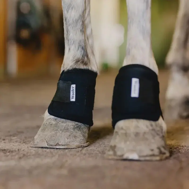 Handla nu | Wool Pastern Wraps