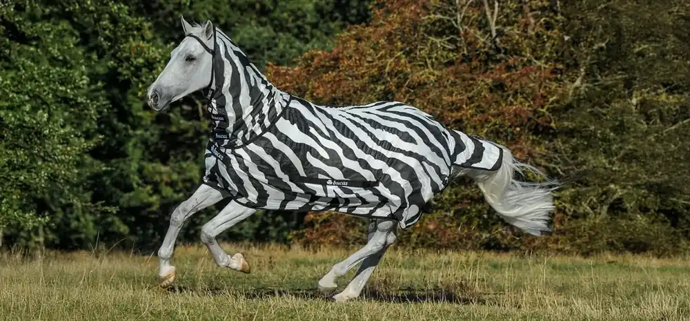 Buzz-Off Zebra Full Neck Zebra 135 cm - Premiumkvalitet