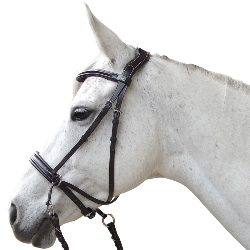 Träns för ridning Canter Bitless Evolution | Mycket populär