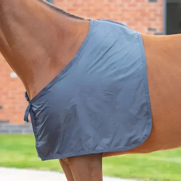 Bra pris just nu - Shires bogskydd navy