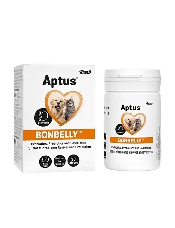 Aptus Bonbelly 30st | Begränsat lager