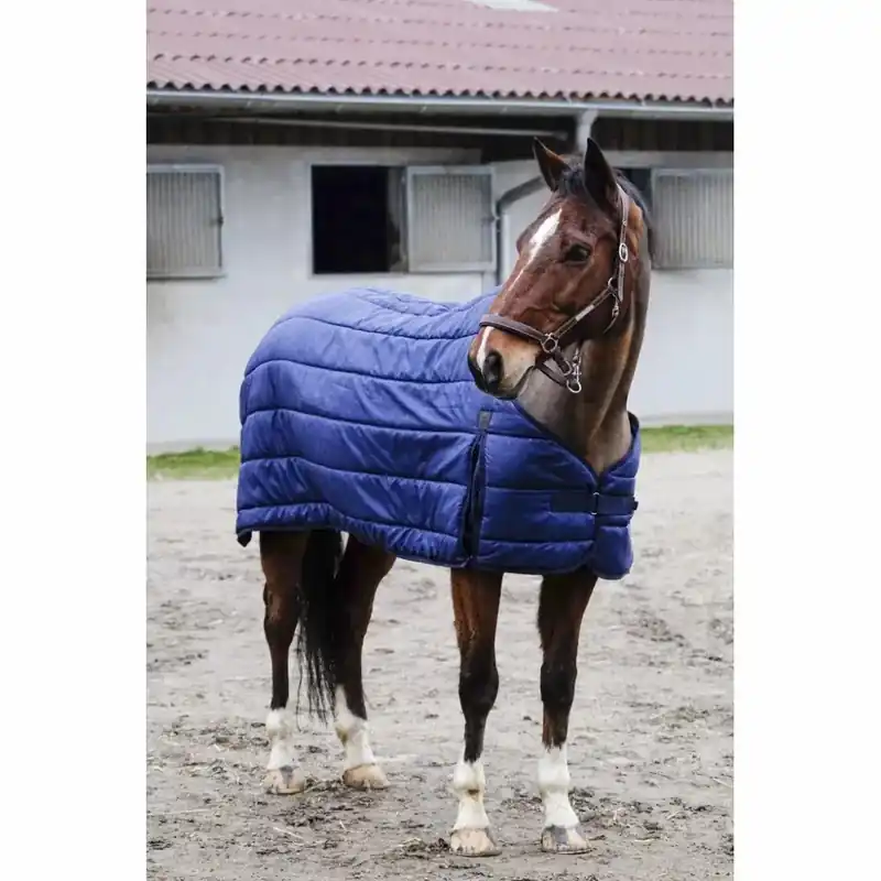 Superpris | Undercover för hästar Equithème Classic 200 g