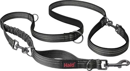 Halti Anatomy Multi Line Grå - Favorit hos kunderna