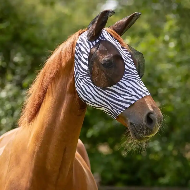 Rekommenderas | Flugmask Super Bug, Zebra Pony