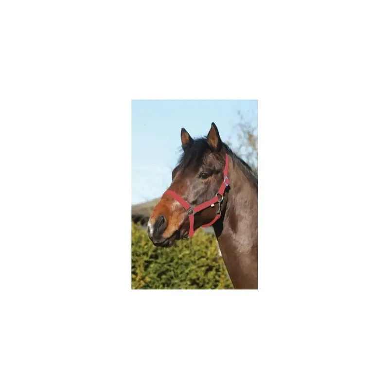 Fynd - Hästgrimma i nylon HorseGuard