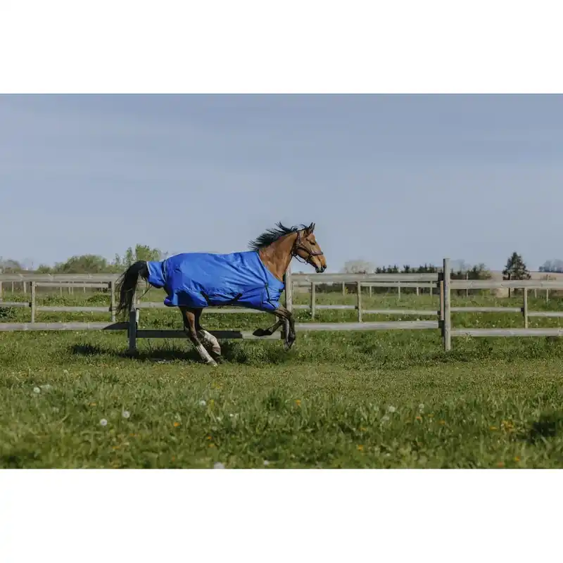 Hästtäcke för utomhusbruk Equithème Tyrex Aisance 1200D 300g | Fabrikspris