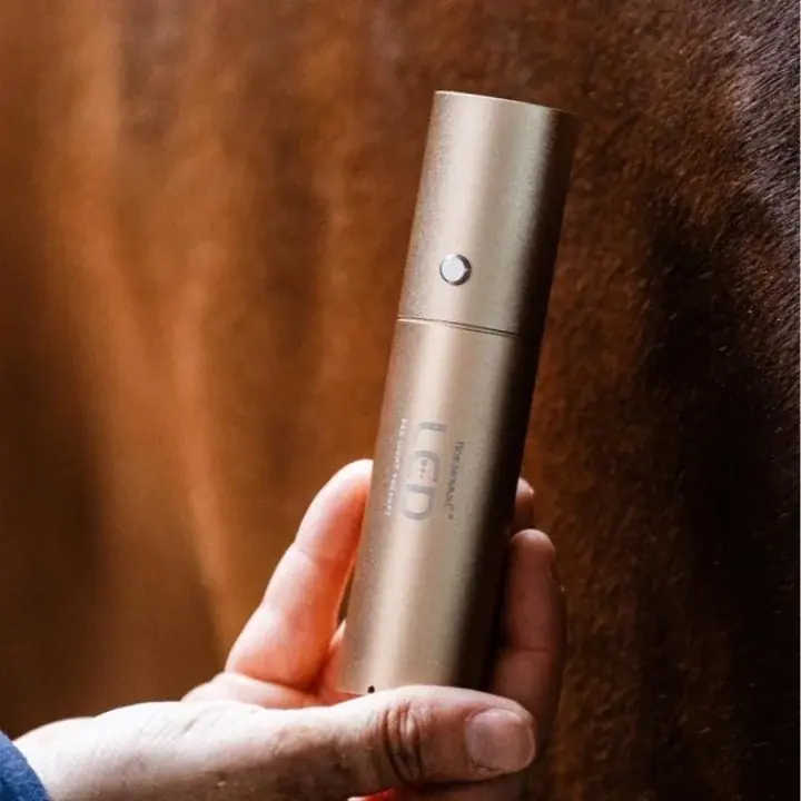 Terapilampa LED Red Light Therapy Wand | Kanonpris